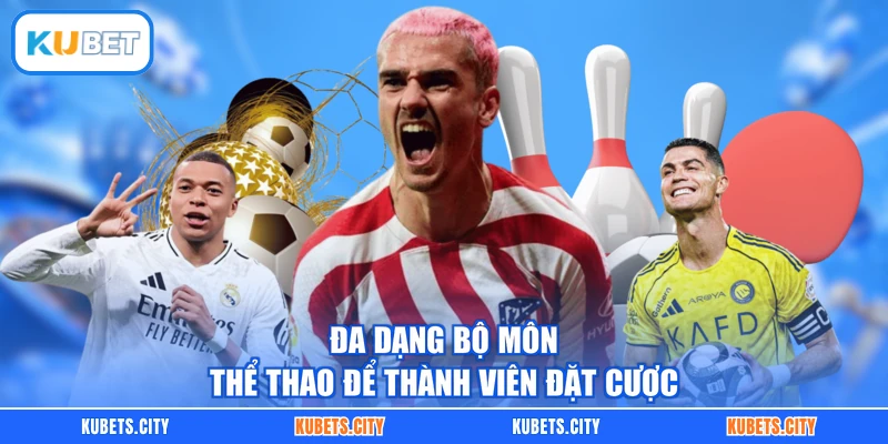 Đa dạng bộ môn thể thao để thành viên đặt cược